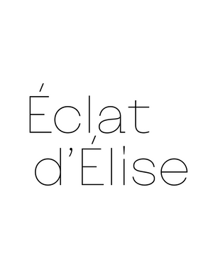 Projet Elise piste 1 logo
