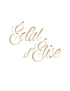Projet Elise piste 2 Logo